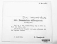Image Associated With the Occurence